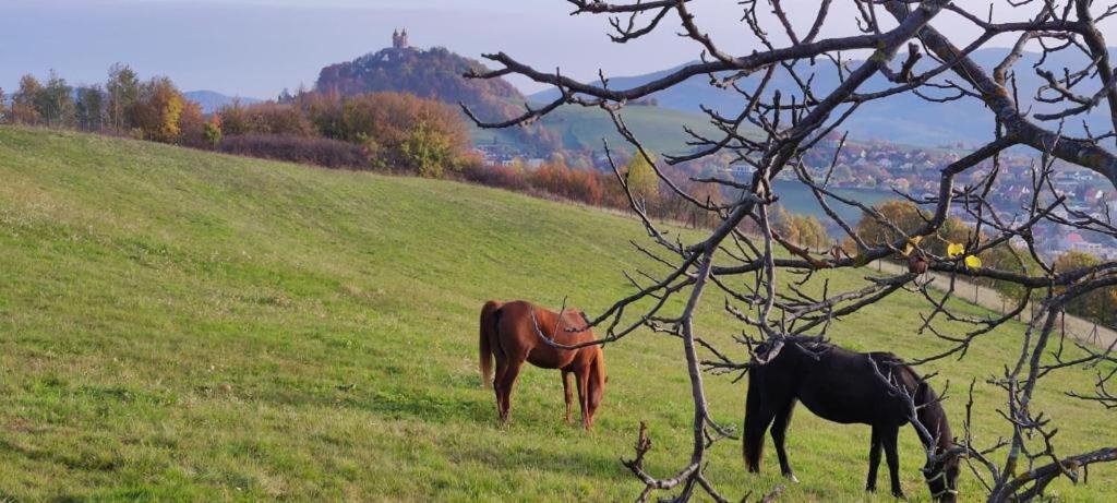 Hotel Barcadam Banská Štiavnica Esterno foto